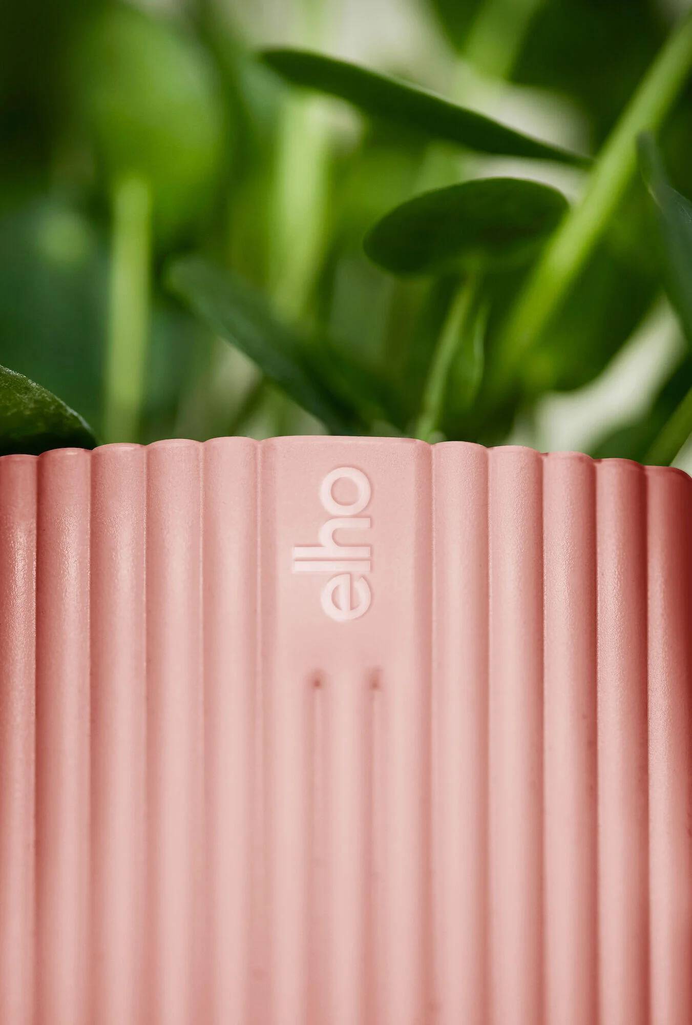 Elho - Cache-pot Polypropylène Rose – ELHO - Image 10
