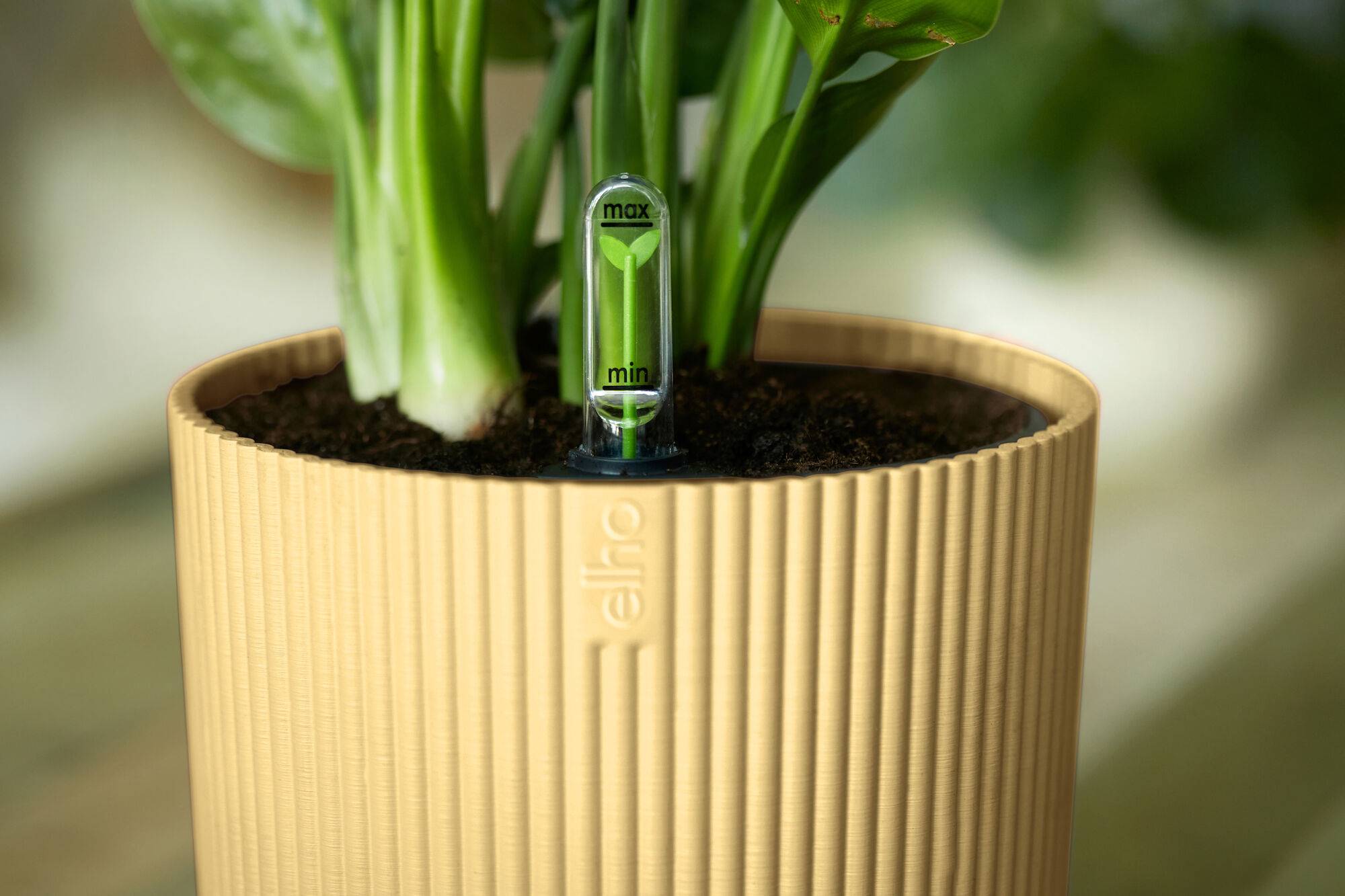 Elho - Elho - Pot Vibes Fold Rond Jaune Beurre Ø.18,34 x H.16,8 cm - Image 5