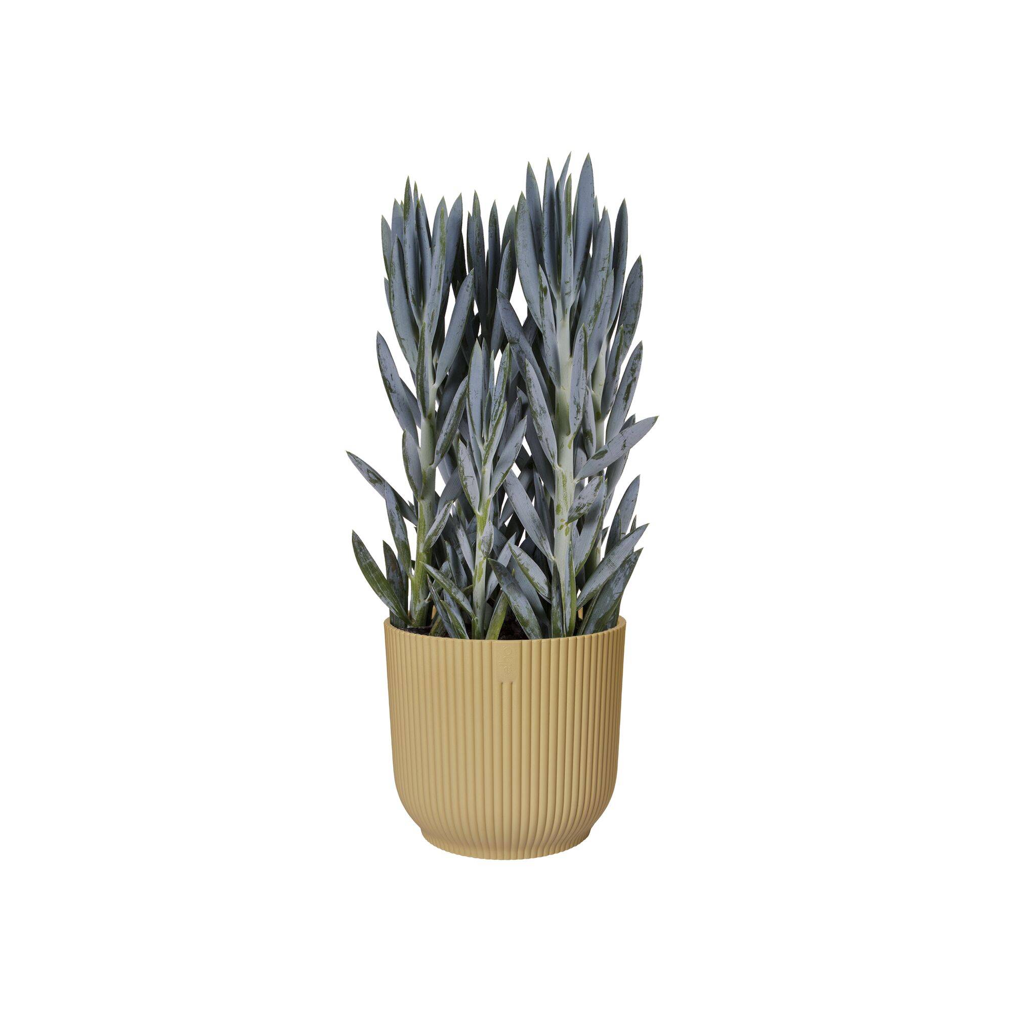 Elho - Elho - Pot Vibes Fold Rond Jaune Beurre Ø.18,34 x H.16,8 cm - Image 3