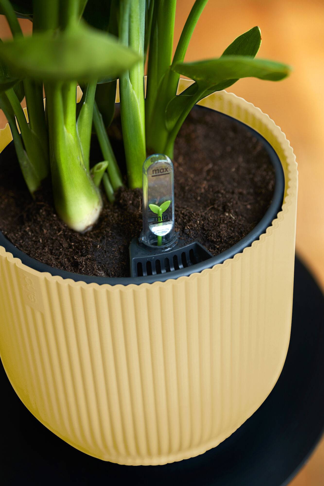 Elho - Elho - Pot Vibes Fold Rond Jaune Beurre Ø.18,34 x H.16,8 cm - Image 7