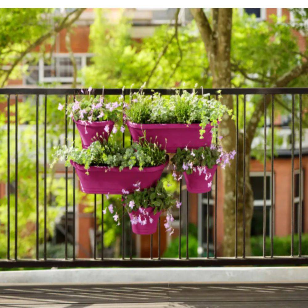 Lot de 2 balconnières rectangulaire cerise - ELHO - Image 10