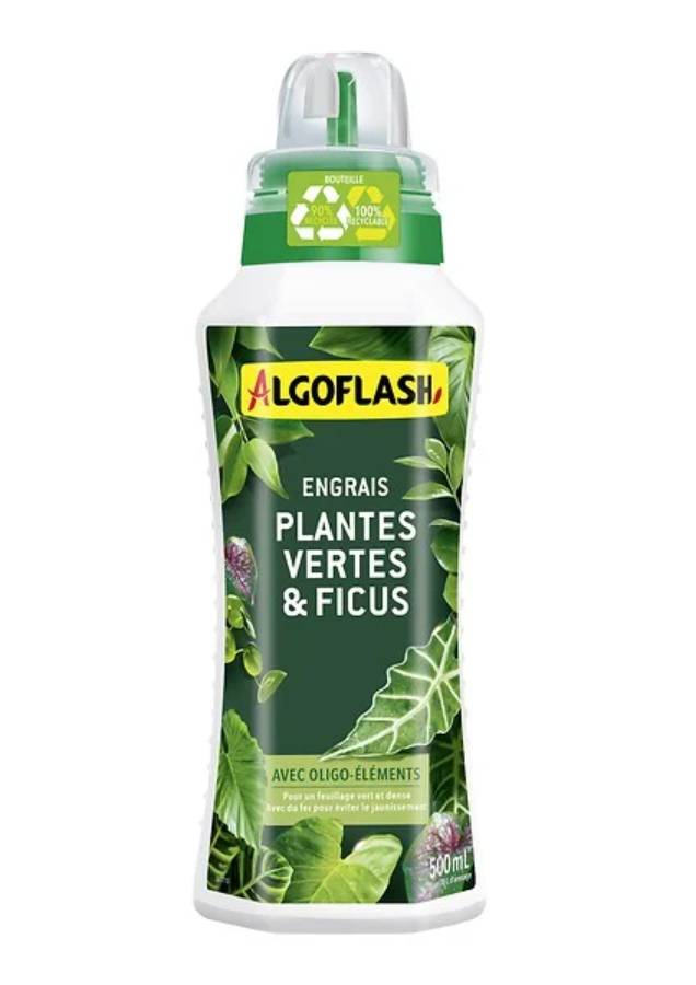 Algoflash - Engrais plantes vertes - ALGOFLASH