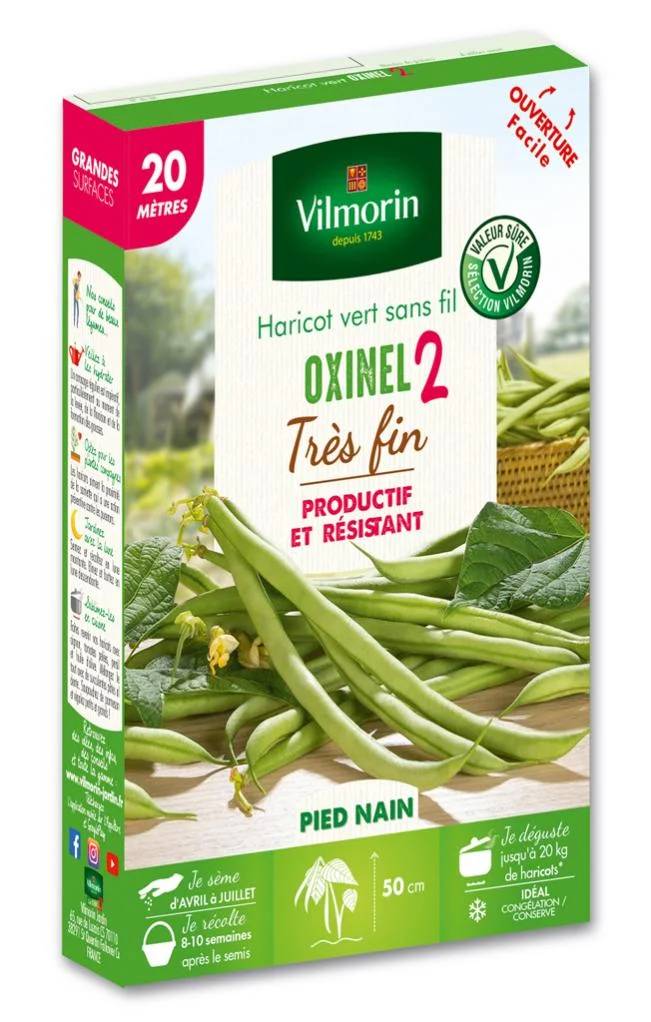 Vilmorin - Haricot Nain Vert Oxinel 2 serie 20M boîte graines 138 g - Vilmorin - Image 2