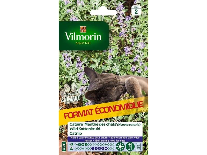 Vilmorin - Cataire menthe à chats grand modèle série 2 sachet graines 8 g - Vilmorin - Image 5