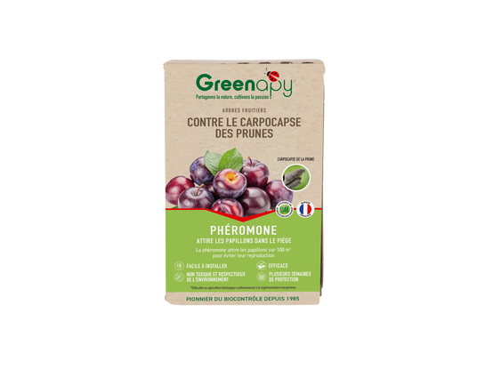 Greenapy - Phéromone Carpocapse des prunes Cydia funebrana boîte de 2 capsules - Greenapy - Image 1