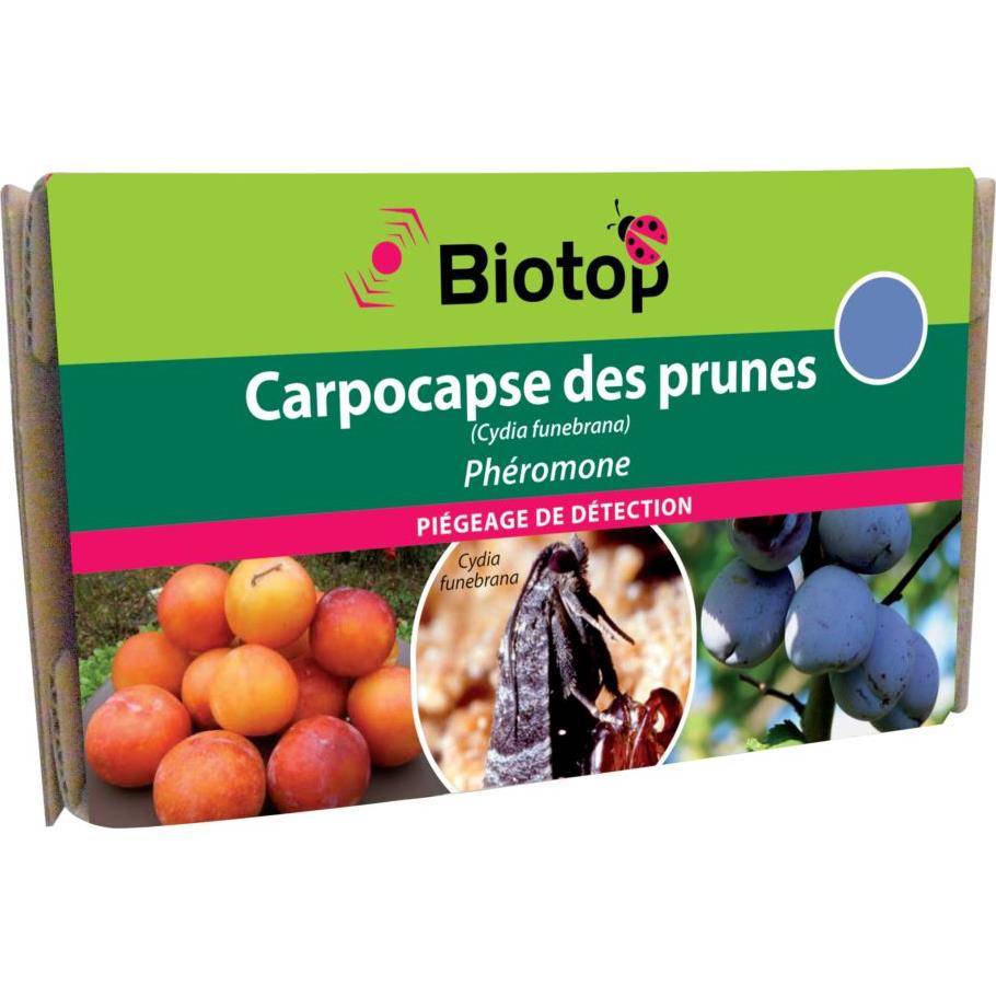 Greenapy - Phéromone Carpocapse des prunes Cydia funebrana boîte de 2 capsules - Greenapy - Image 2
