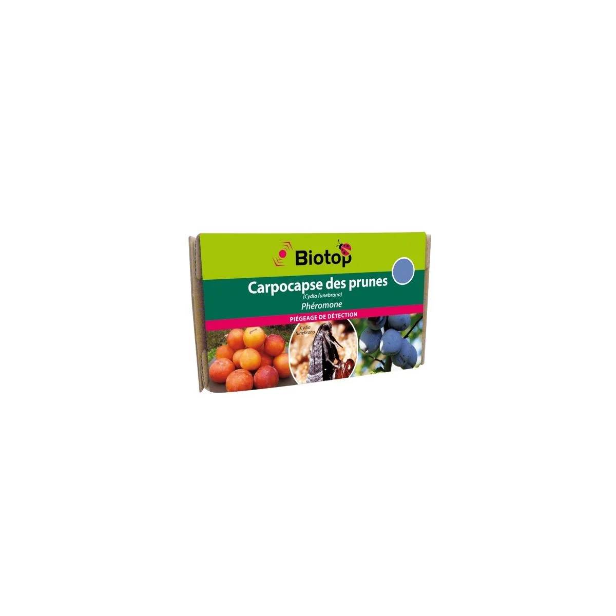 Greenapy - Phéromone Carpocapse des prunes Cydia funebrana boîte de 2 capsules - Greenapy - Image 5