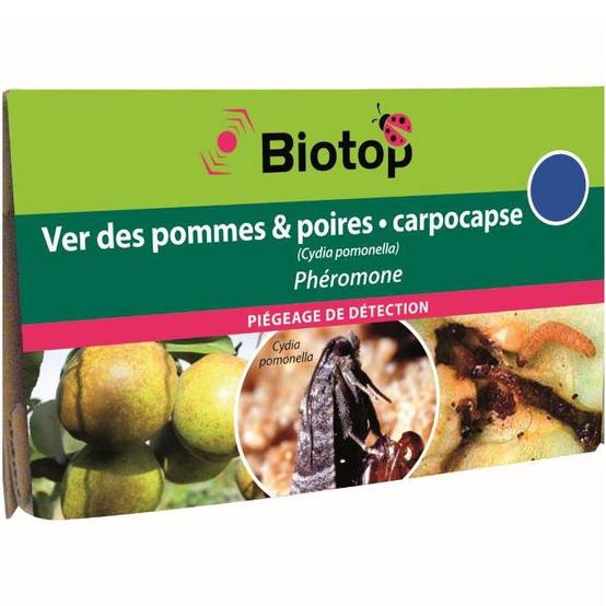 Greenapy - Phéromone carpocapse des pommes et des poires Cydia pomonella boîte de 2 capsules - Greenapy - Image 2
