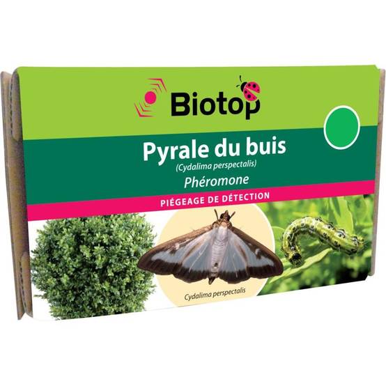 Greenapy - Phéromone Pyrale du Buis Glyphodes (Cydalima) perspectalis boîte de 2 capsules - Greenapy - Image 4