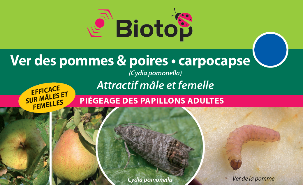 Greenapy - Phéromone carpocapse des pommes mâle-femelle Cydia pomonella boîte d'1 capsule - Greenapy - Image 2