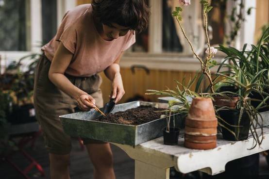 Plantoir à Graines – FISKARS - Image 9