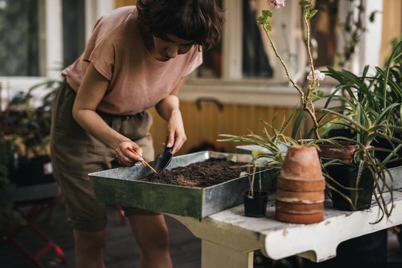 Plantoir à Graines – FISKARS - Image 9