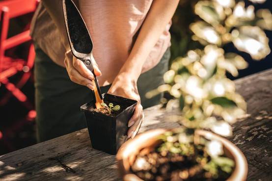 Plantoir à Graines – FISKARS - Image 2