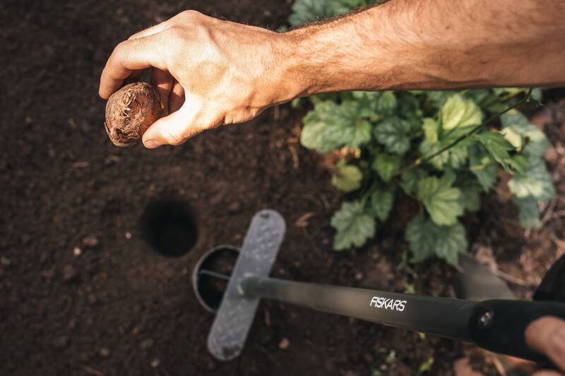 Plantoir à Bulbes - FISKARS - Image 6