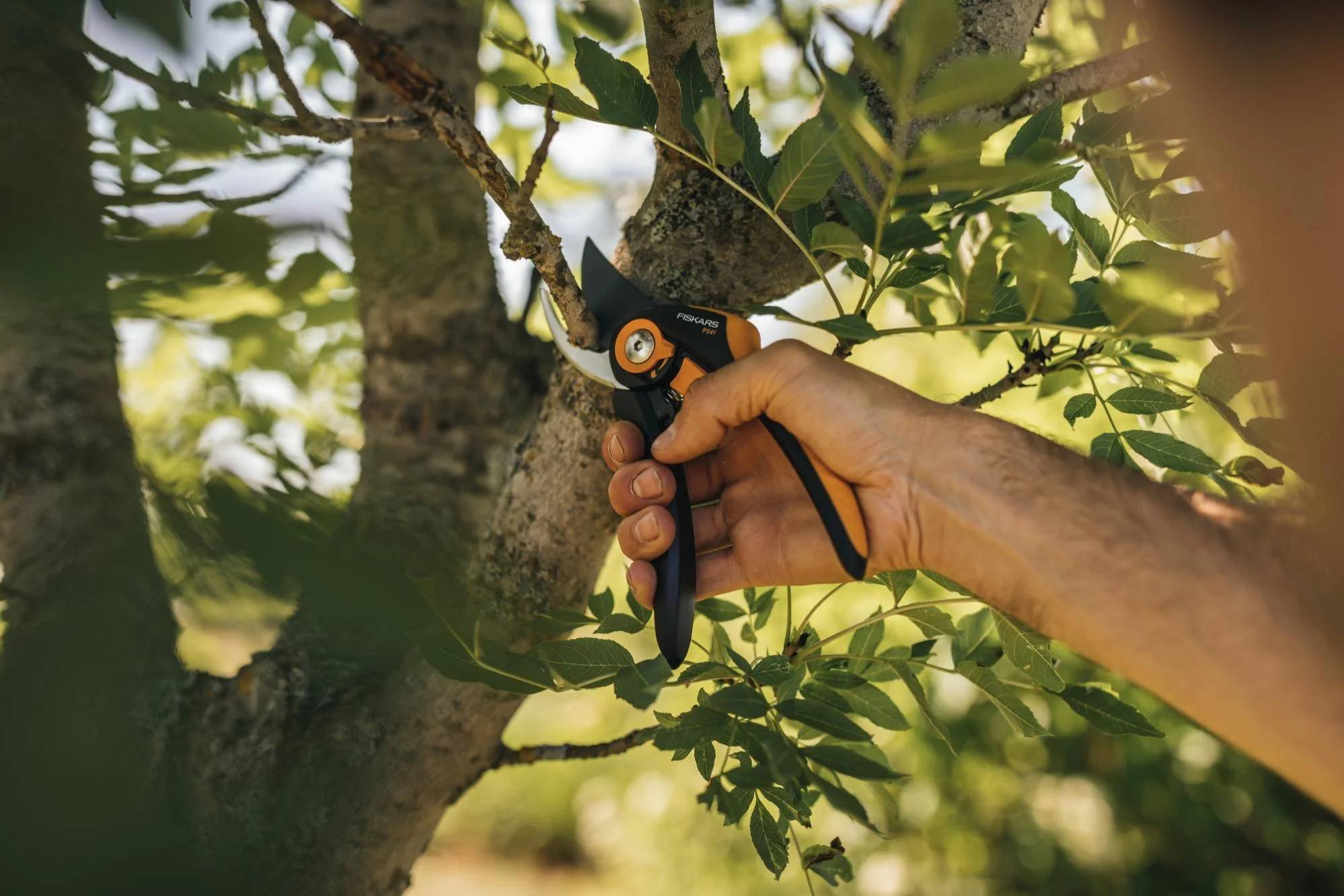 Fiskars - Sécateur à lame franche Plus™ (P541) - Fiskars - Image 16