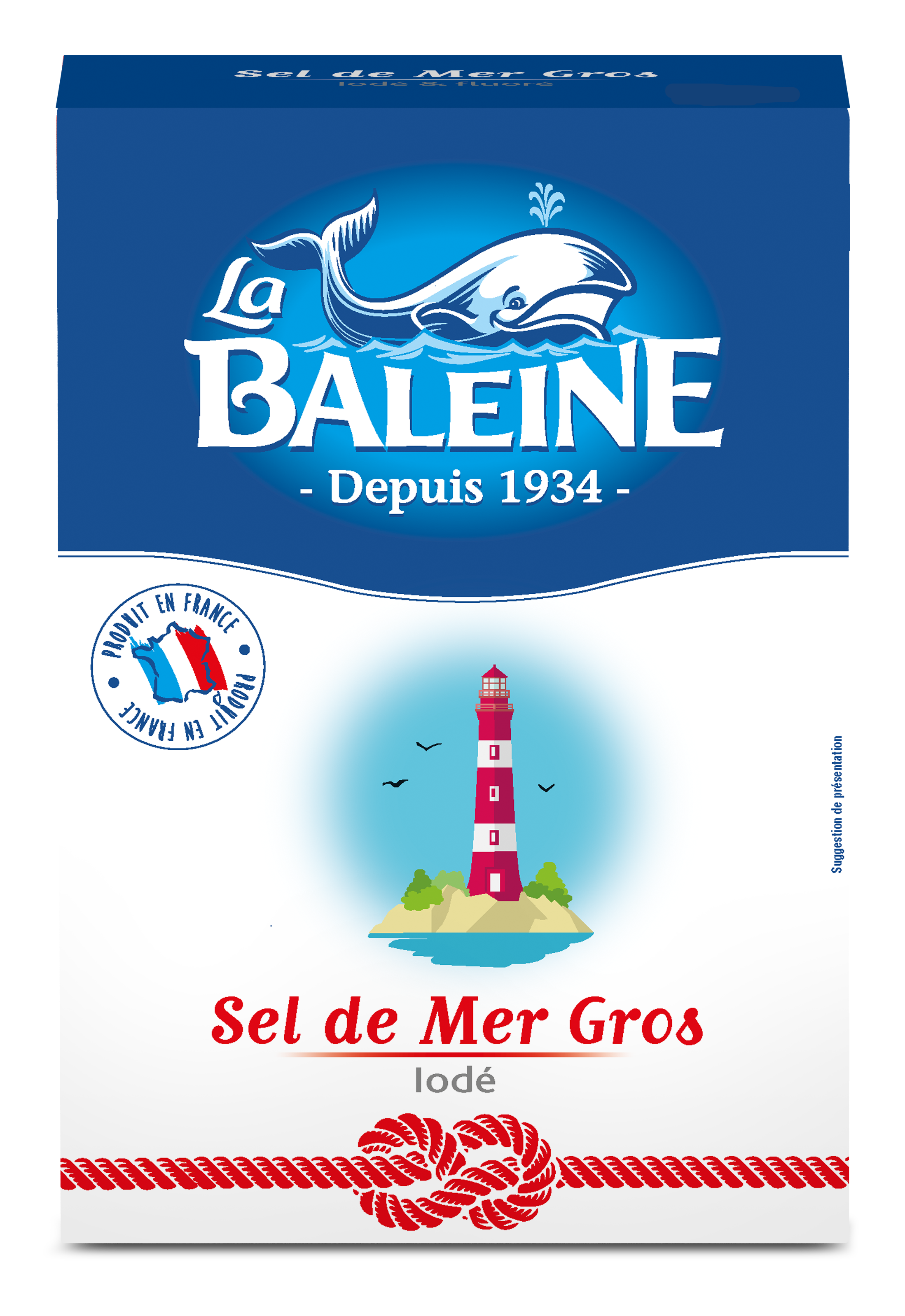 Gros sel de mer iodé 1 kg La Baleine Gamm vert — free download