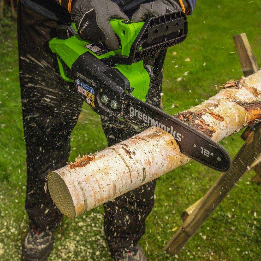 Greenworks - Elagueuse Batterie Lithium-Ion - GREENWORKS - Image 2