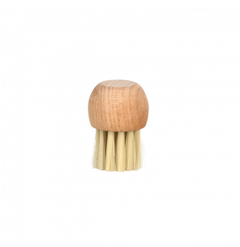 HOFMEISTER Brosse à Champignons En Bois Naturel - Nettoyage Doux Et Efficace Pour Légumes