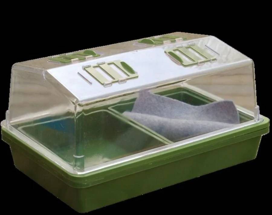 Nortène - HEATING GROW mini Serre chauffante  vert / transparent 39x25x20cm - Image 3
