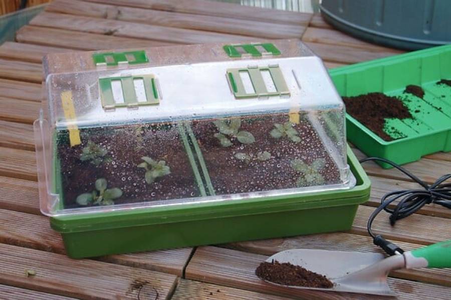 Nortène - HEATING GROW mini Serre chauffante  vert / transparent 39x25x20cm - Image 10