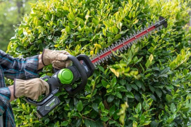 Greenworks - Taille-haies sans-fil - GREENWORKS - Image 3