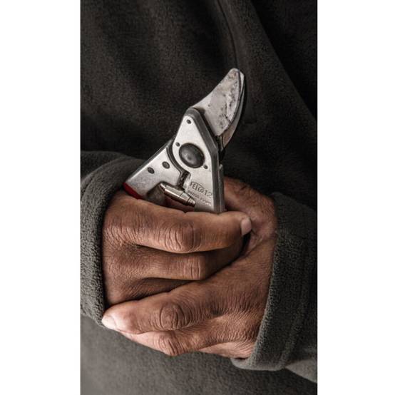 Sécateur Felco 12 aluminium forgé lames acier trempé pour droitiers - Felco - Image 8