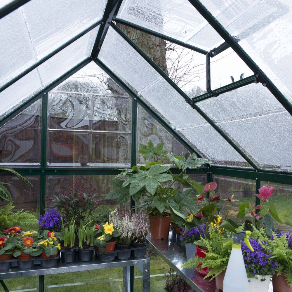 Canopia by Palram - Serre de jardin polycarbonate aluminium vert 3,4 m² Harmony avec embase - Canopia by Palram - Image 15