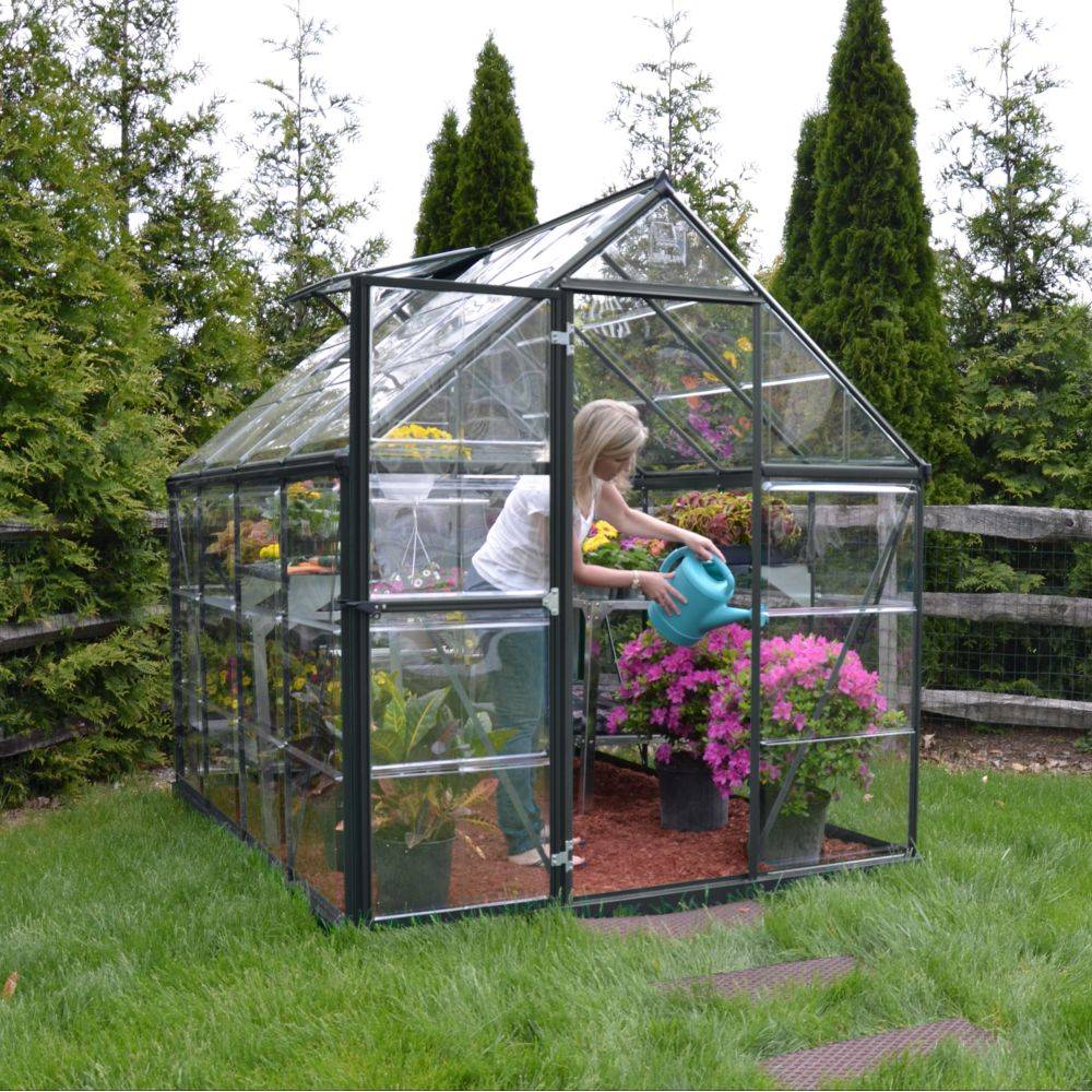 Canopia by Palram - Serre de jardin polycarbonate aluminium anthracite 4,6 m² Harmony avec embase - Canopia by Palram