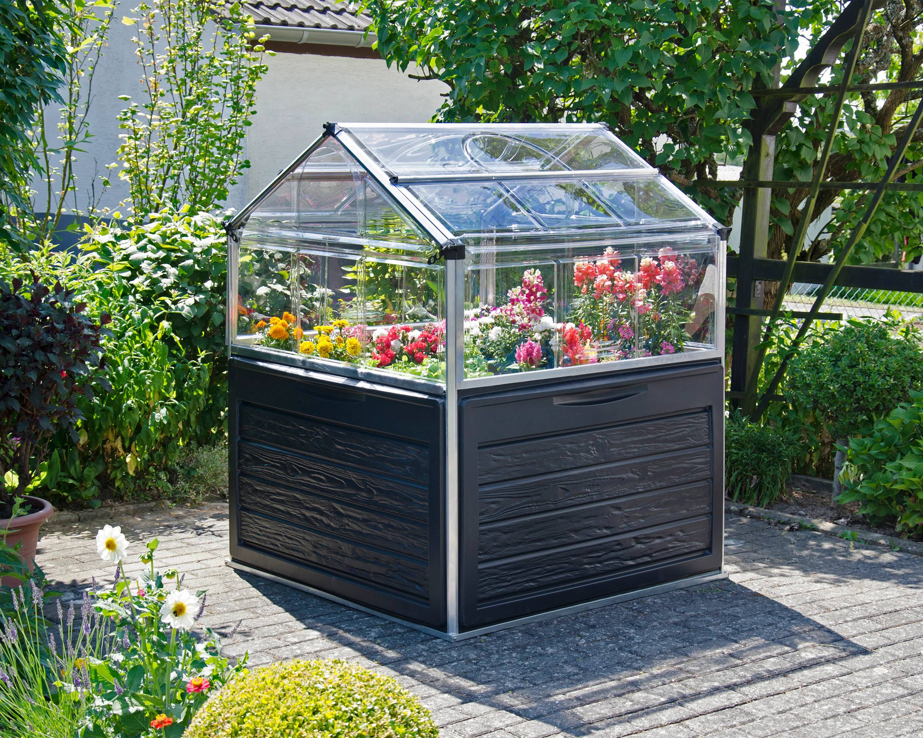 Canopia by Palram - Serre de jardin polycarbonate aluminium noir 1,4 m² Plant inn - Canopia by Palram - Image 10