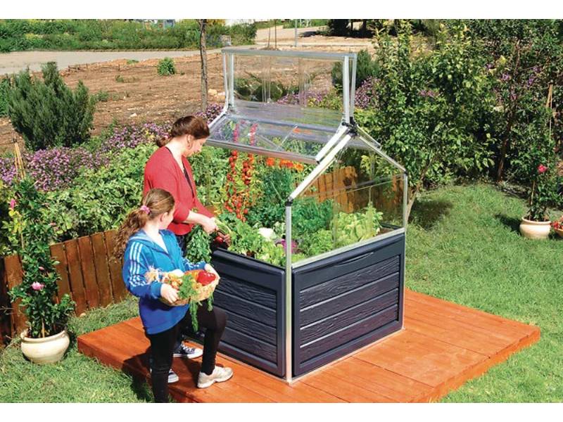 Canopia by Palram - Serre de jardin polycarbonate aluminium noir 1,4 m² Plant inn - Canopia by Palram - Image 4