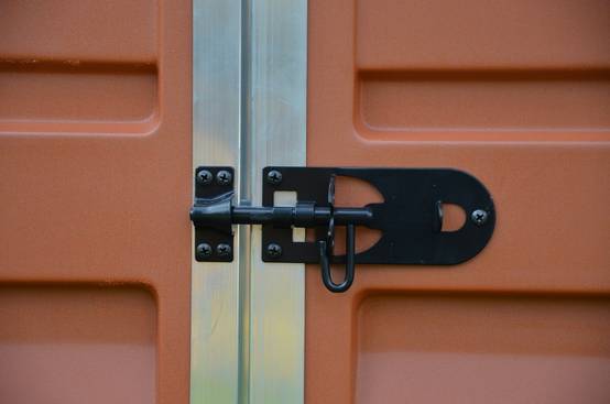 Canopia by Palram - Palram - Abri de Jardin Polycarbonate Skylight Amber 6x5 2,7m2 - Image 5