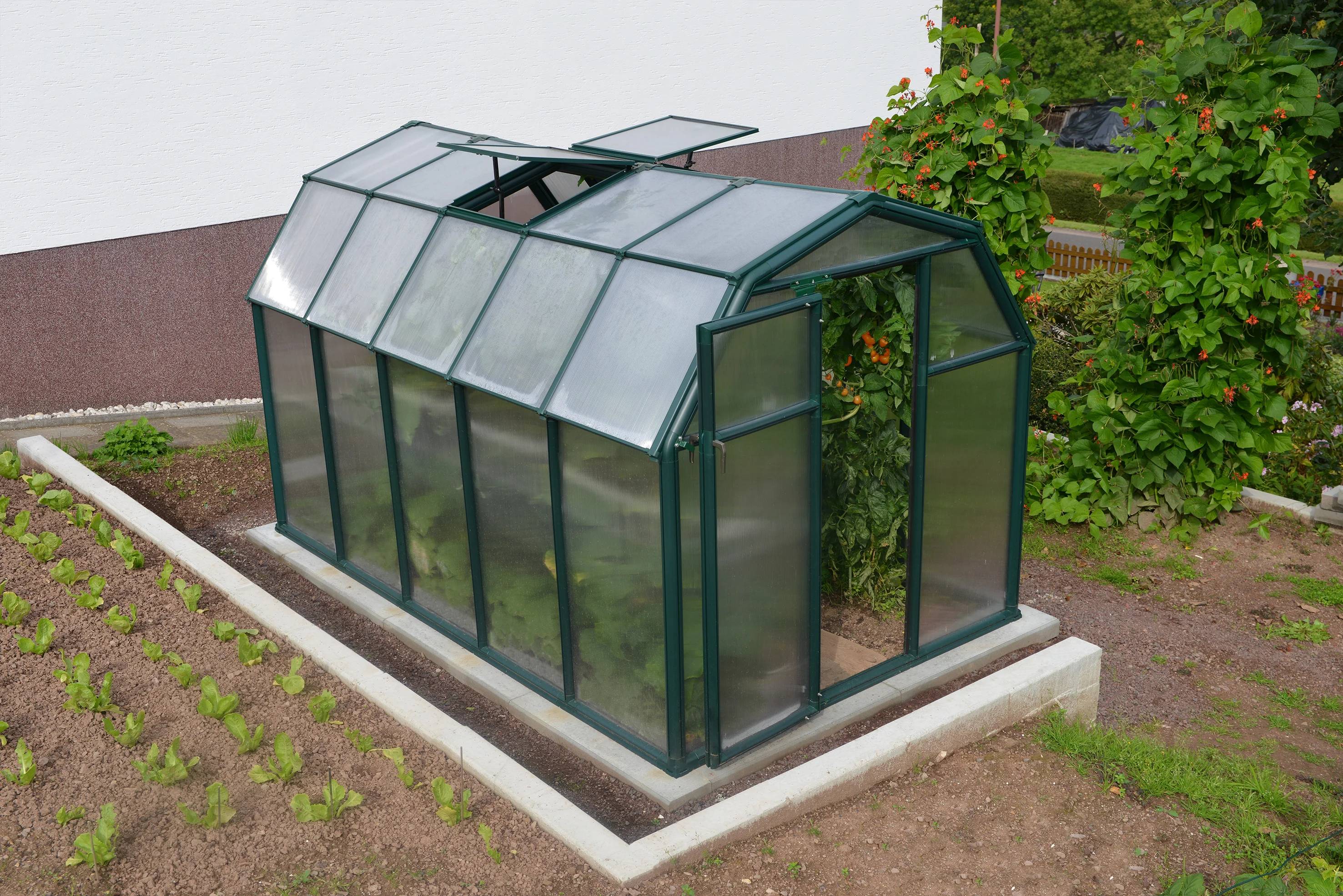 Canopia by Palram - Serre de jardin Polycarbonate Vert 6,3 m² EcoGrow - PALRAM - Image 1