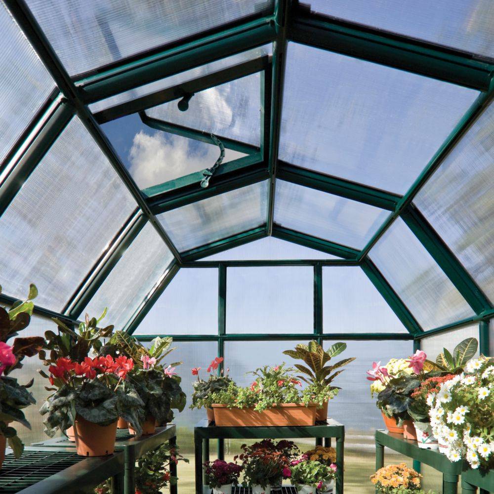 Canopia by Palram - Serre de jardin Polycarbonate Vert 6,3 m² EcoGrow - PALRAM - Image 5
