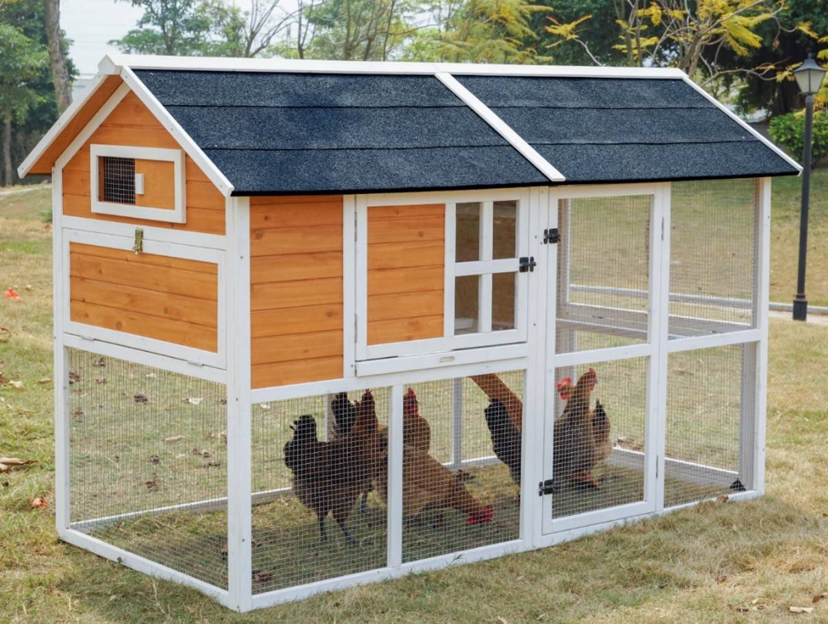 No Name - Poulailler en bois avec enclos Suzette - 4 à 5 poules