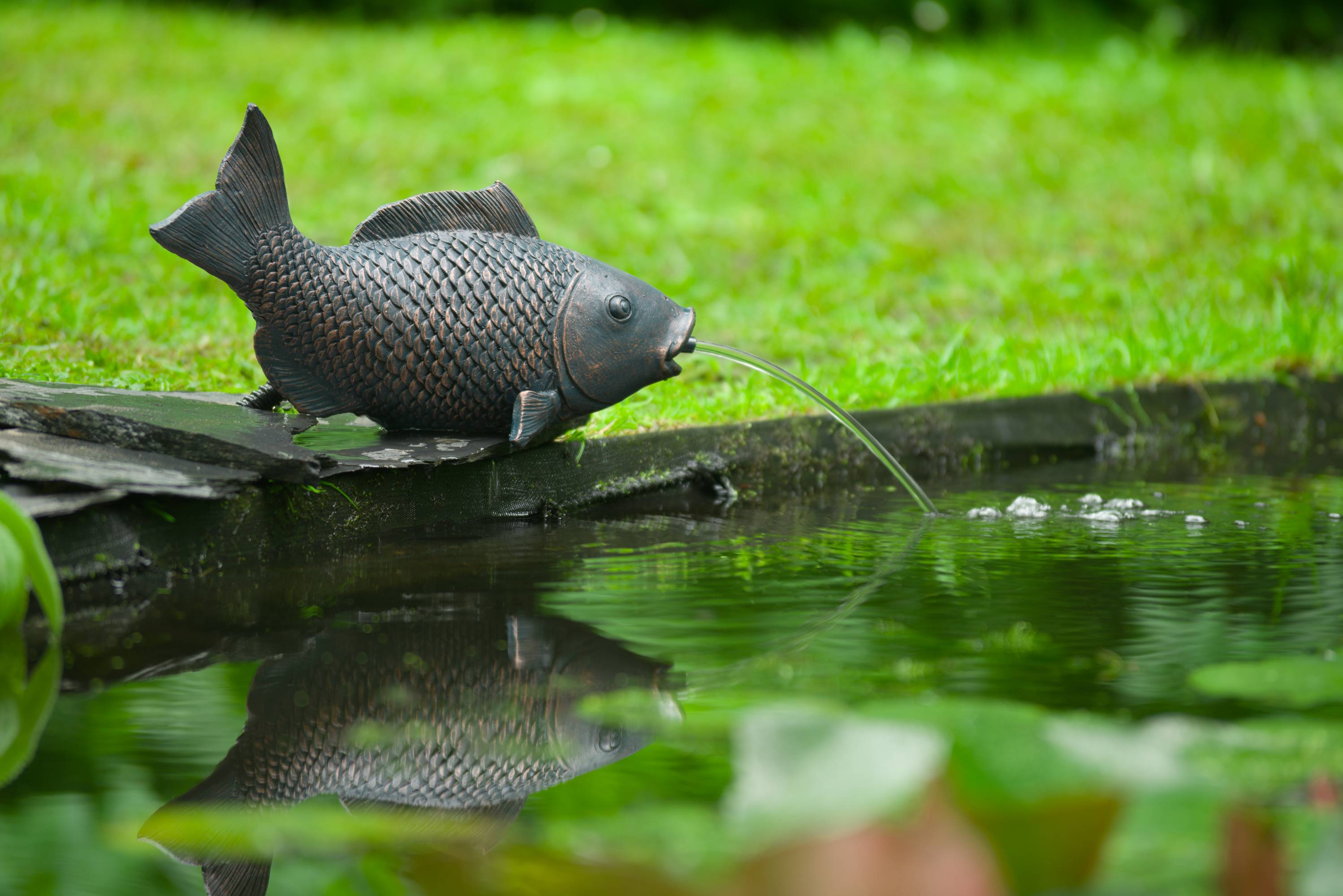 Fontaine de Jardin Cracheur Poisson - UBBINK - Image 4
