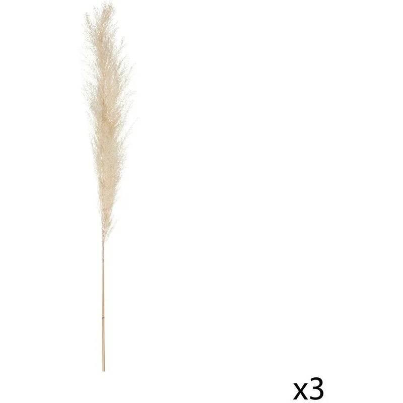 Fleurs séchées Pampa naturelles H 110 cm - ATMOSPHERA - Image 3