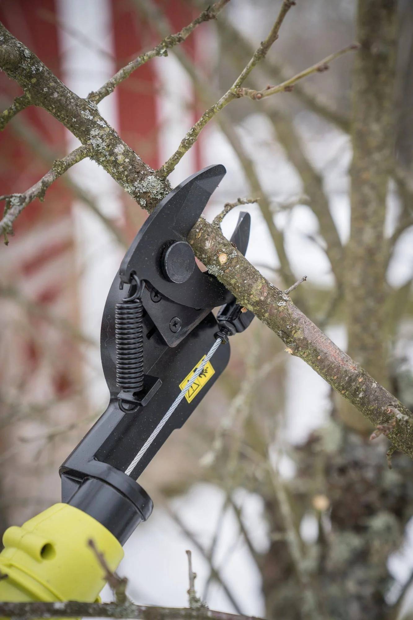 Ryobi - Coupe-branches 18V Ø 32 mm OLP1832BX - RYOBI - Image 13