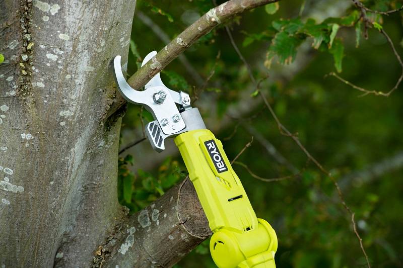 Ryobi - Coupe-branches télescopique sans fil 18V Ø 32 mm RY18PLA-0 - RYOBI - Image 3