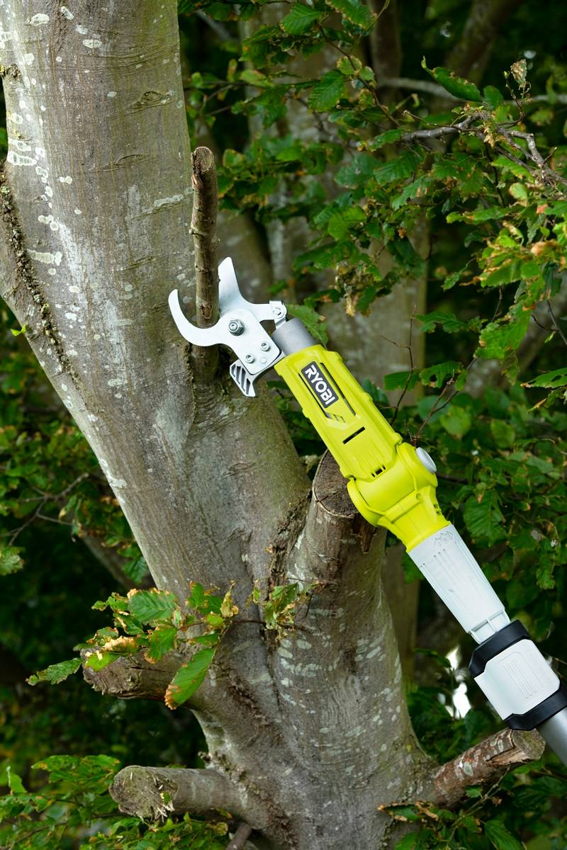 Ryobi - Coupe-branches télescopique sans fil 18V Ø 32 mm RY18PLA-0 - RYOBI - Image 4