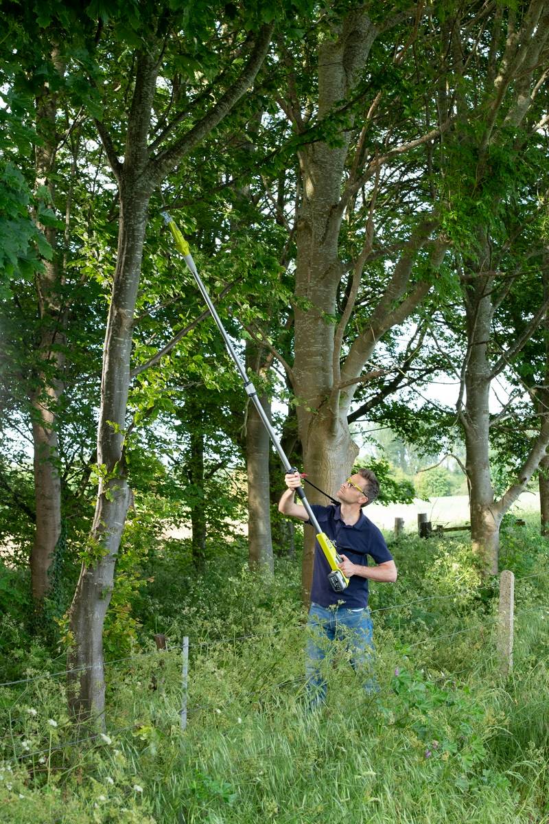 Ryobi - Coupe-branches télescopique sans fil 18V Ø 32 mm RY18PLA-0 - RYOBI - Image 6