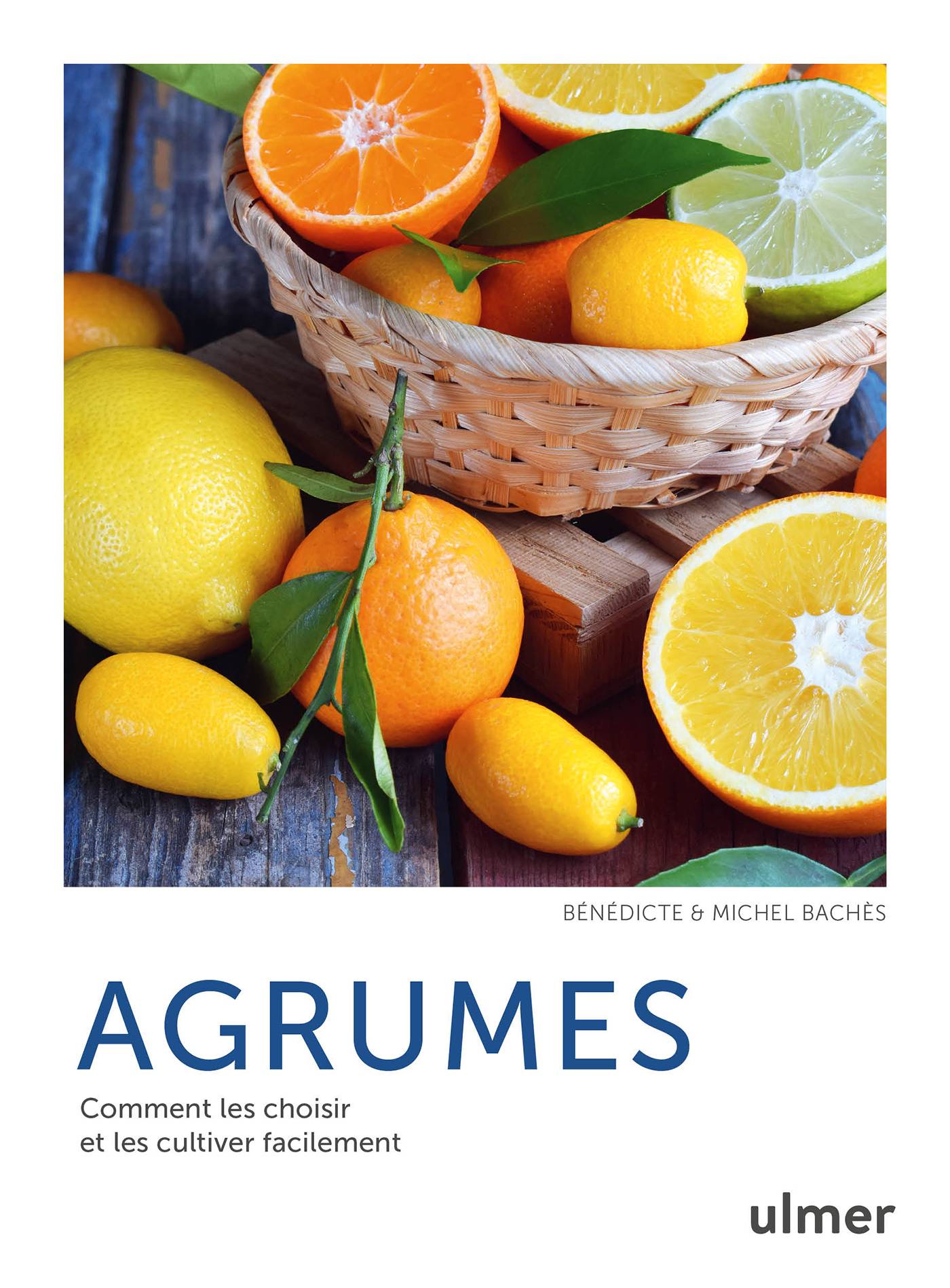 Ulmer - Agrumes
