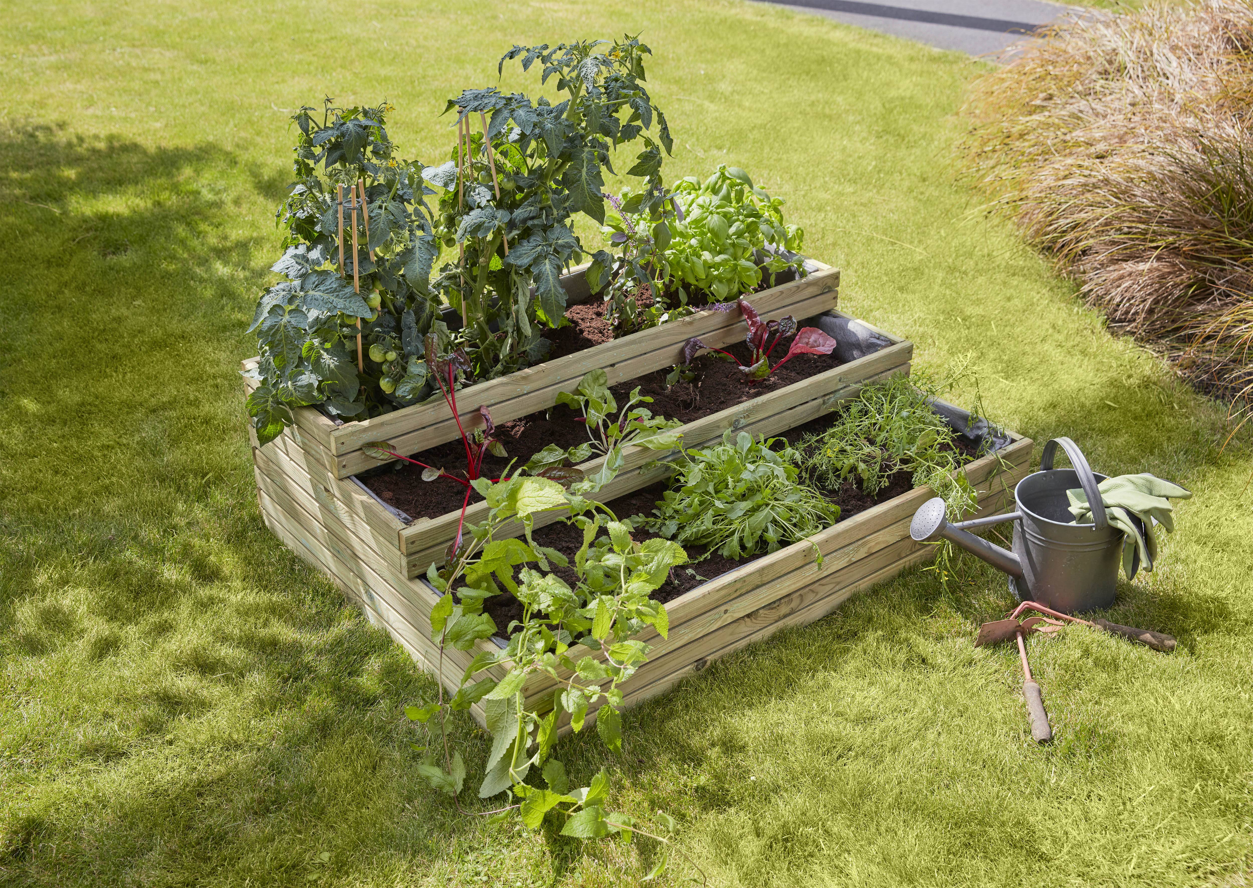 Cerland - Carré potager HORIZON ANGELIC 840x1150x340 mm - Image 4