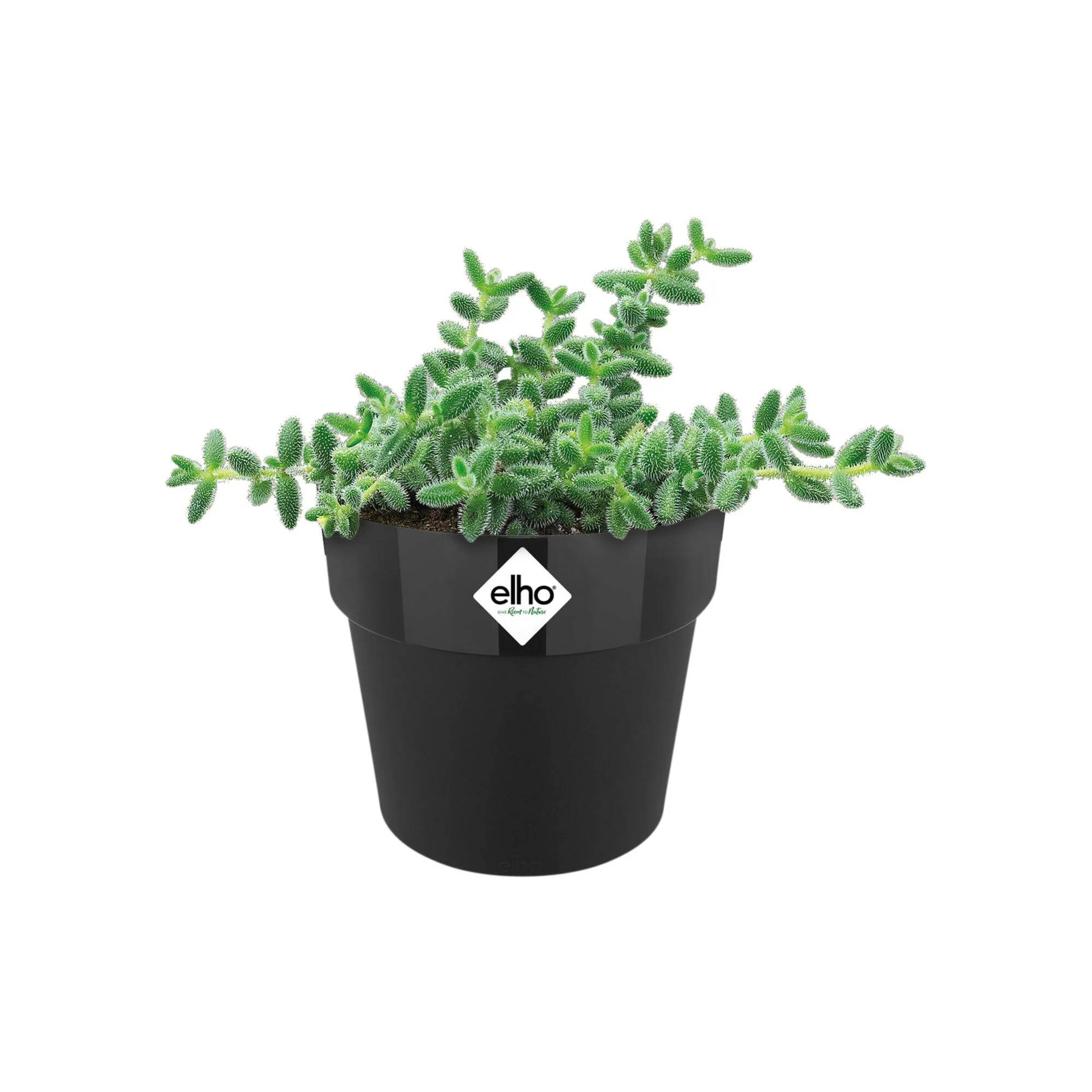 Cache-pot polypropylène noir Diam.9 x H.8,2 cm - ELHO - Gamm vert