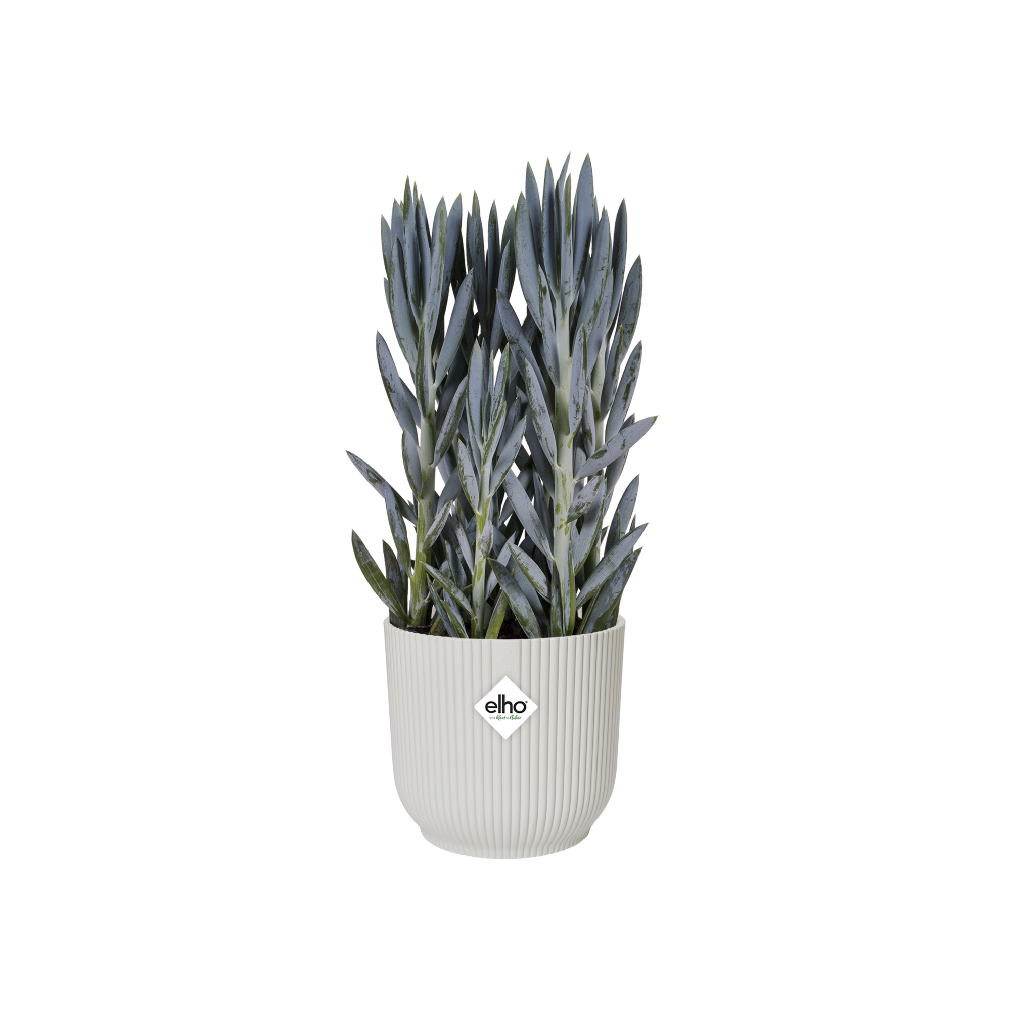Pots Vibes Fold Rond Soie Blanc Ø 25 cm - ELHO - Image 12