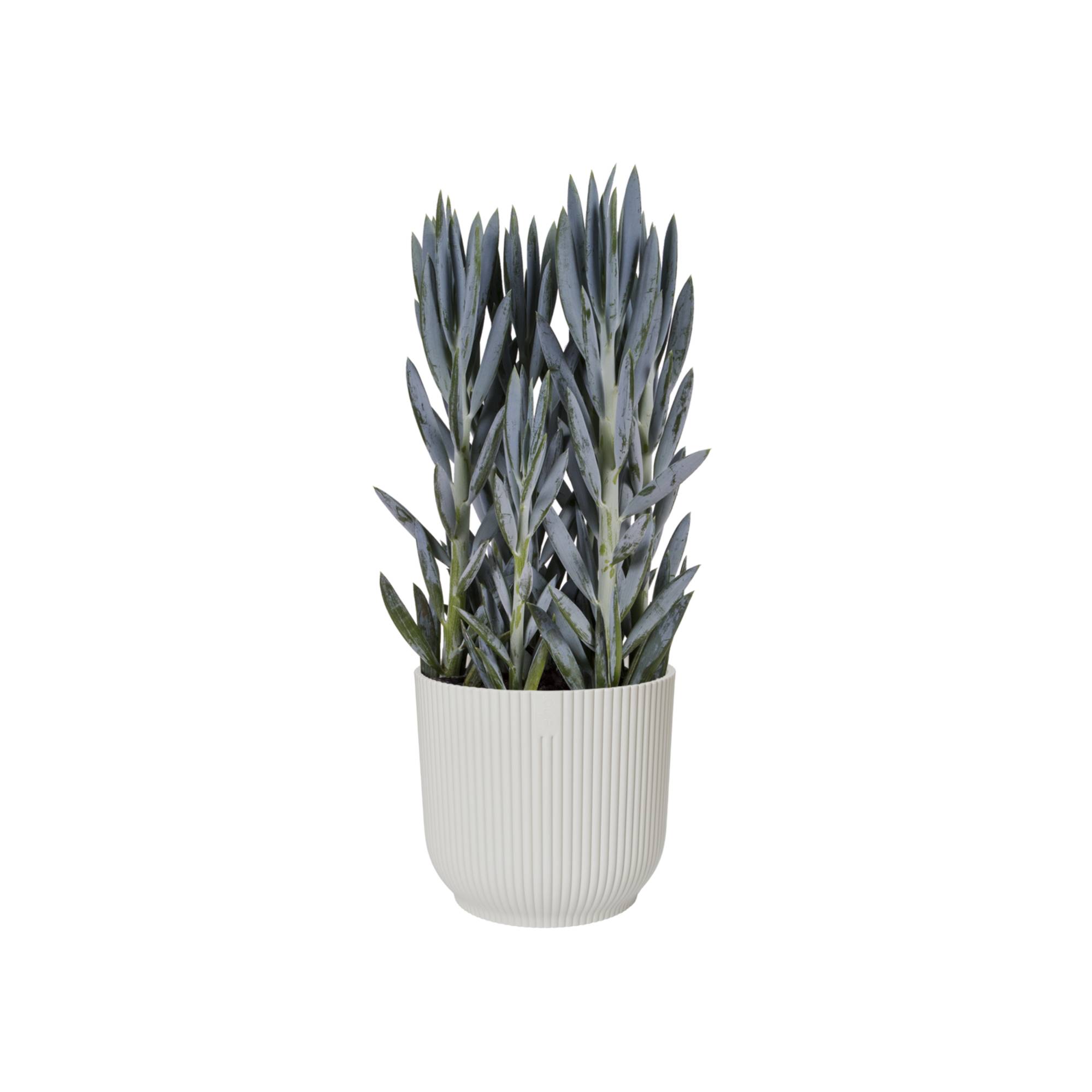 Pots Vibes Fold Rond Soie Blanc Ø 25 cm - ELHO - Image 14