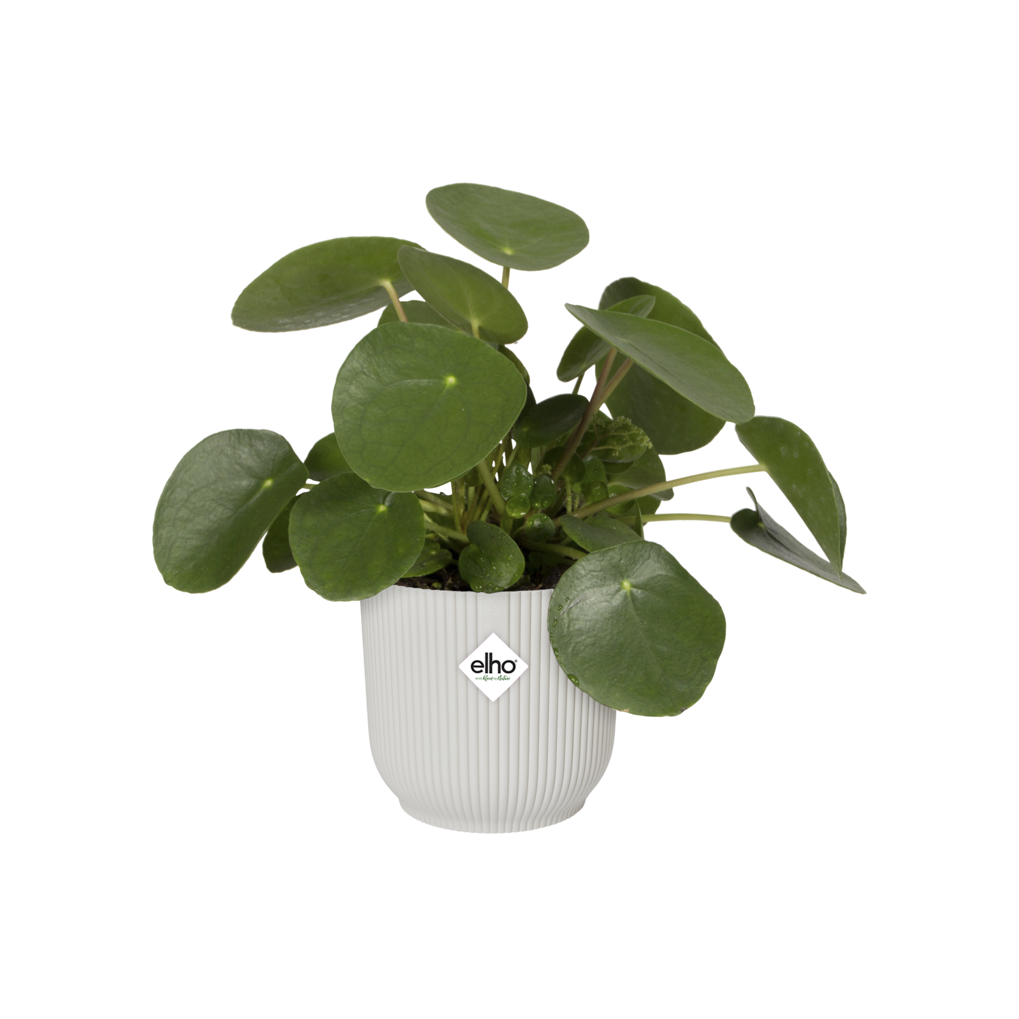 Pots Vibes Fold Rond Soie Blanc Ø 25 cm - ELHO - Image 9