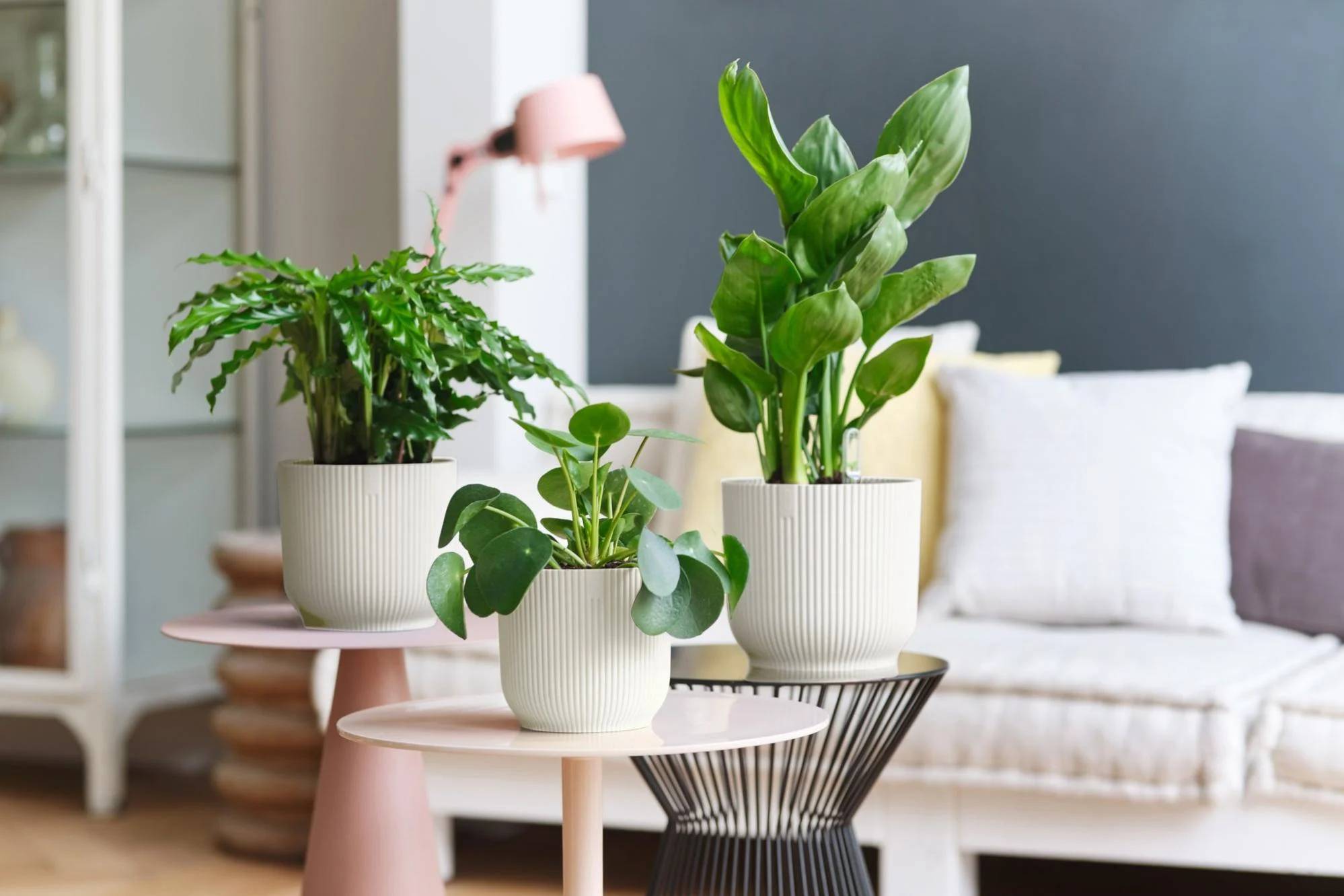 Pots Vibes Fold Rond Soie Blanc Ø 25 cm - ELHO - Image 2