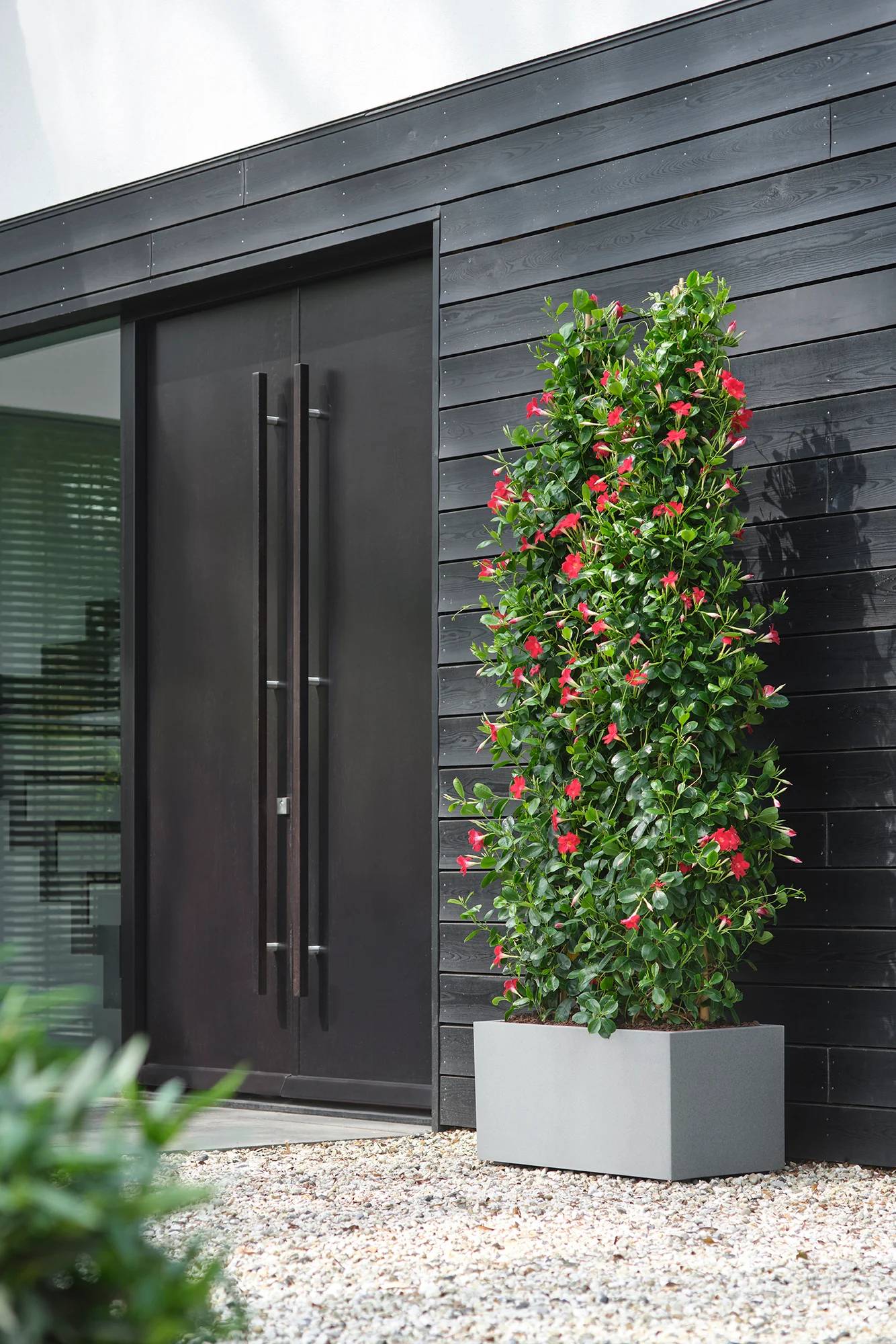 Jardinière rectangulaire plastique gris 80 x 39 x 38 cm - ELHO - Image 7