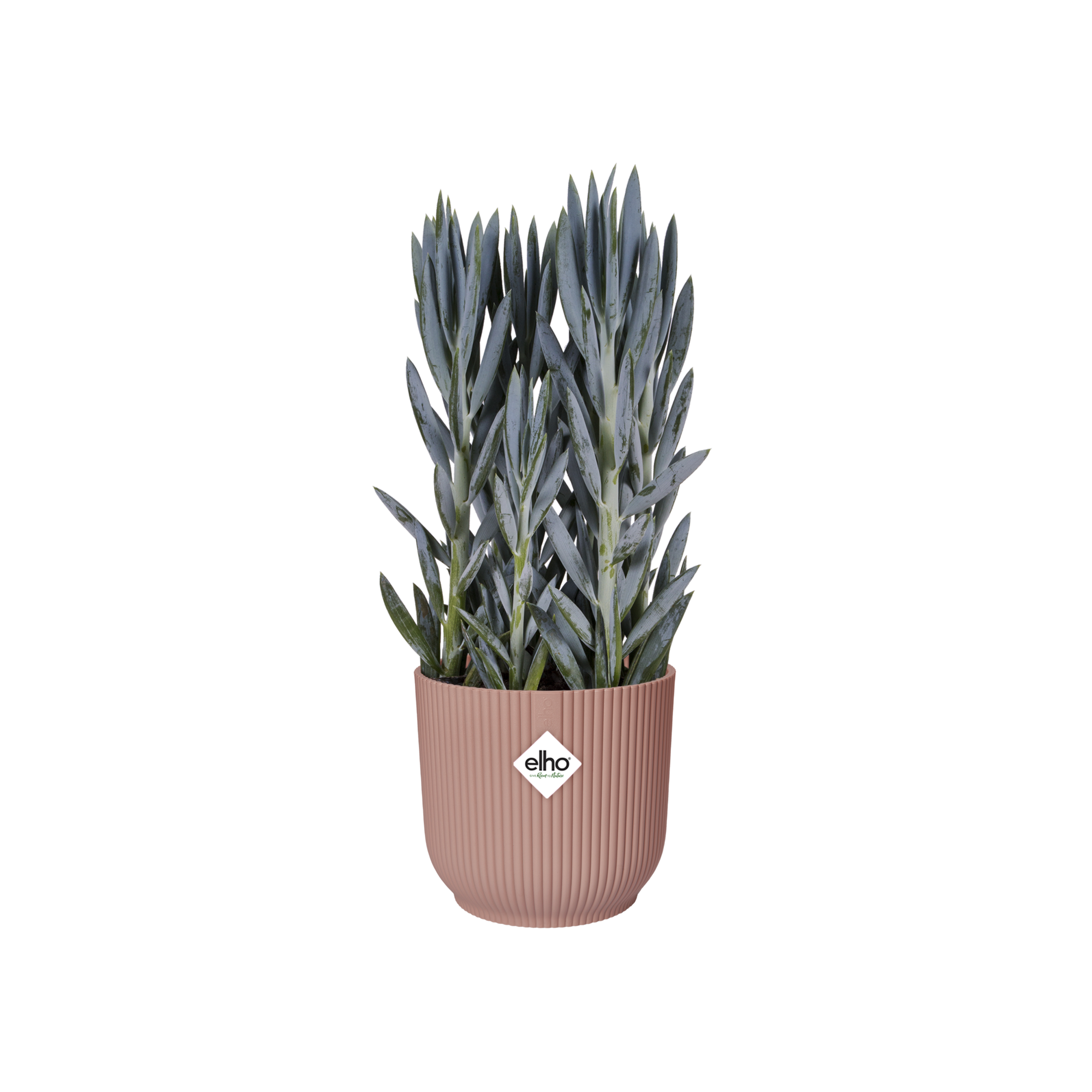 Pot De Fleurs Vibes Fold Rond Roues Rose Poudre 35 cm - ELHO