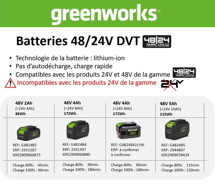 Greenworks - Batterie 5AH Lithium-Ion - GREENWORKS - Image 2